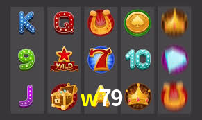 Premium Interface w79